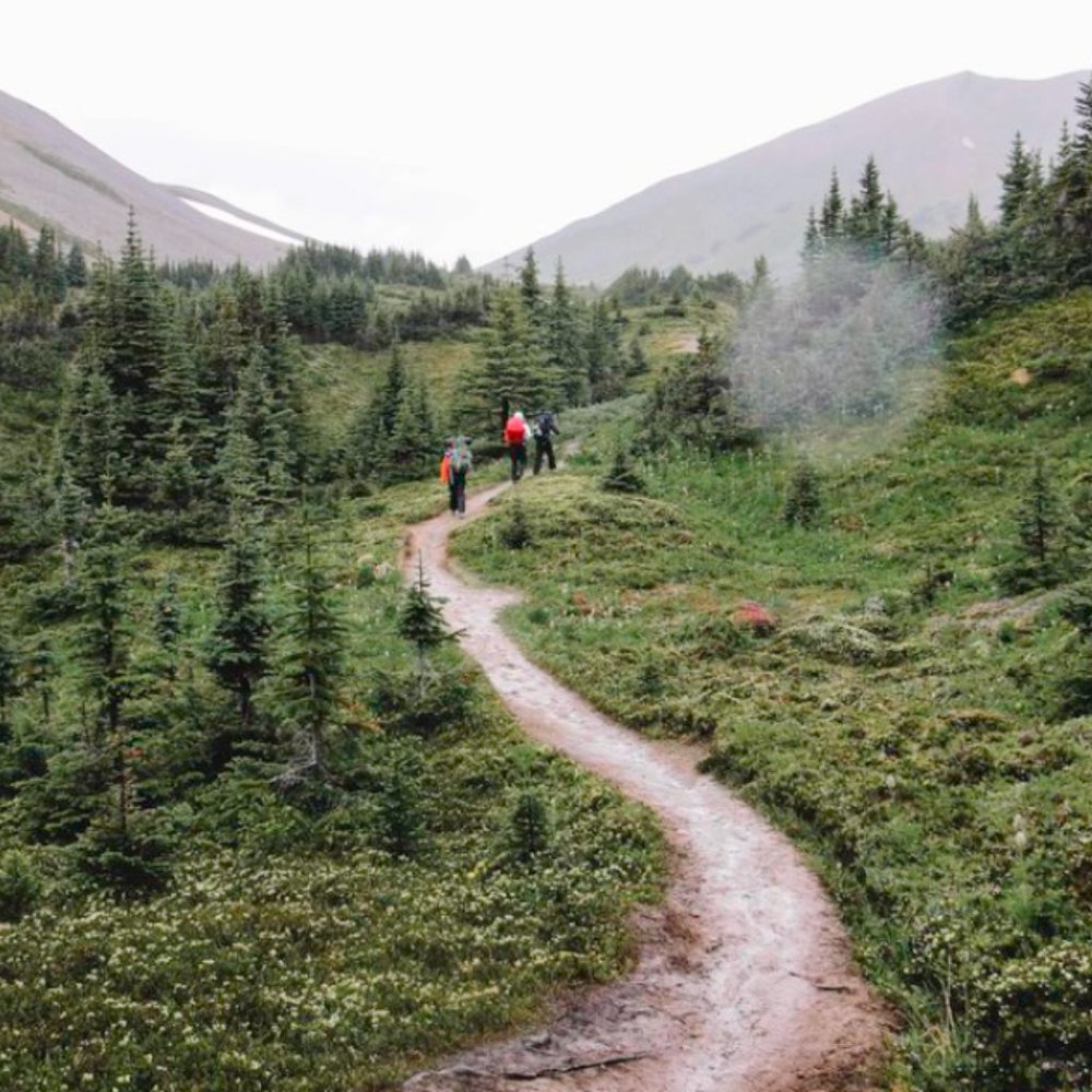 Meet your Posher, Autumn